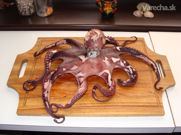 Vianočná chobotnica recept