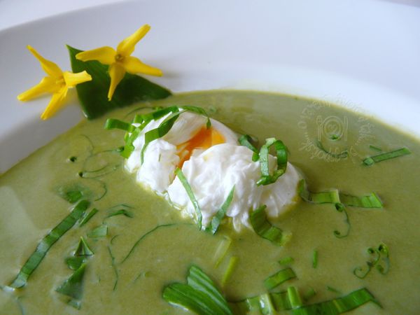FOTORECEPT: Zelená polievka s vajíčkom v batôžku