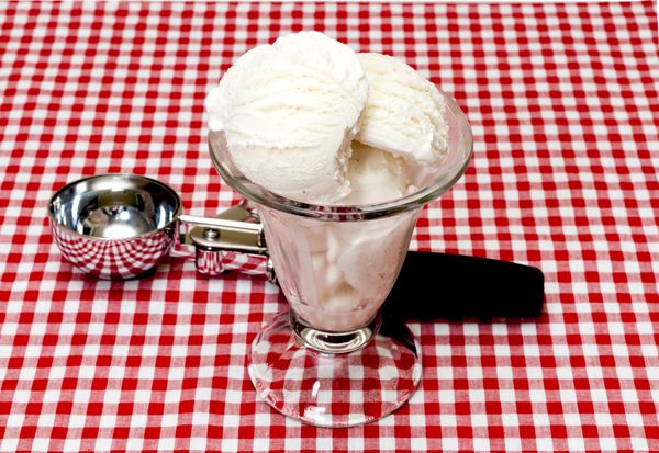 Vanilková mliečna zmrzlina