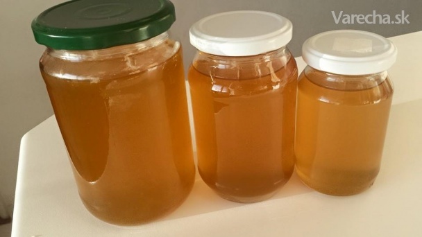 Púpavový med (fotorecept) recept