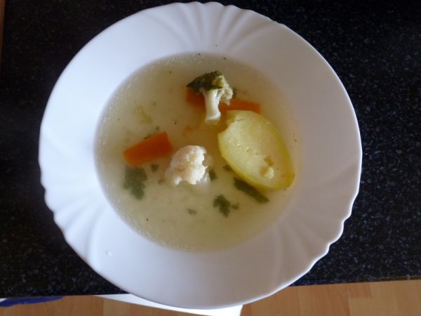 Kačacia polievka so zeleninou