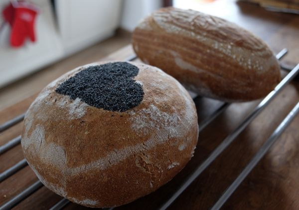 Kváskový ražno-pšeničný chlieb „odoka“