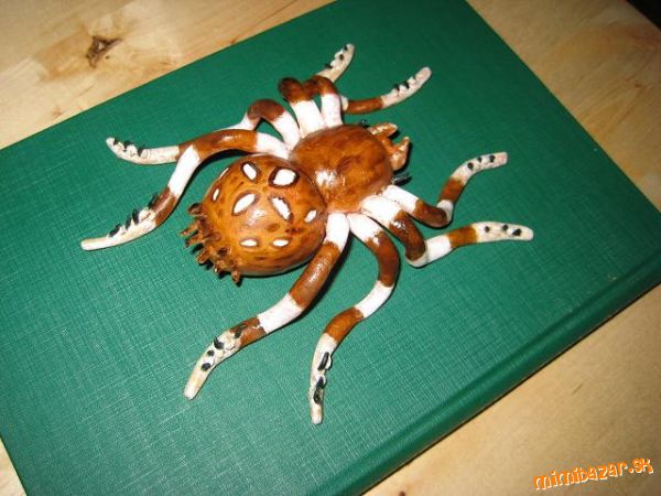 Pavouk Křižák