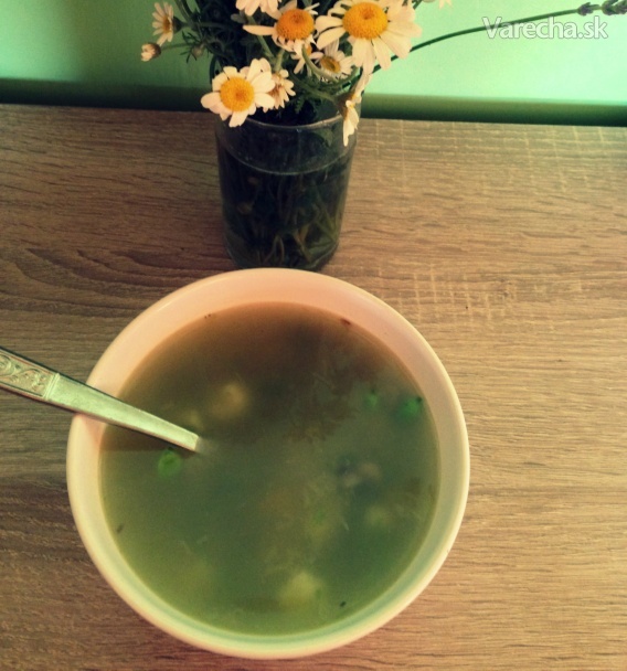 Výborná zeleninová polievka zo záhradky (fotorecept) recept ...