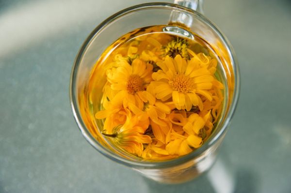 Čaj z kvetu nechtíka lekárskeho
