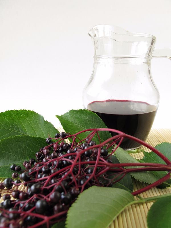 Víno zo sušených plodov bazy čiernej