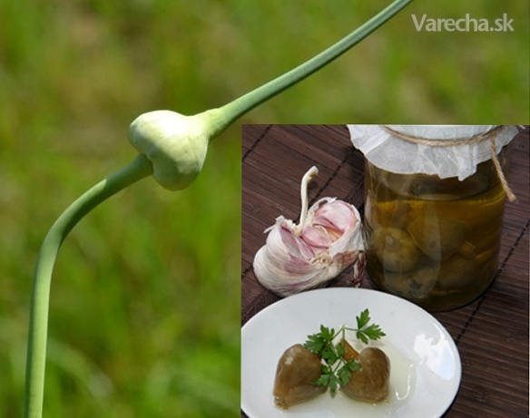 Česnekové květy v oleji (fotorecept) recept