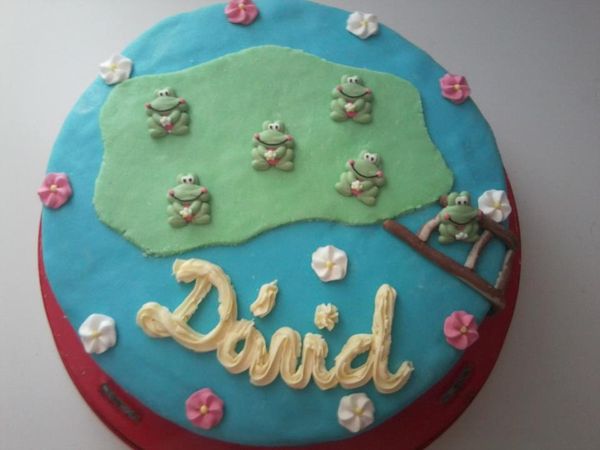 Torta pre Davida