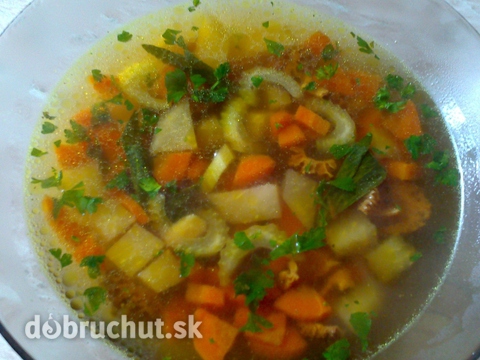 Smrečkovo zeleninová polievka