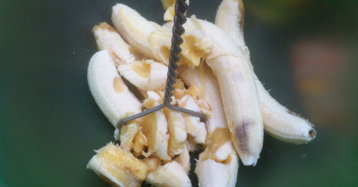 Banánovo-jablkový koláč zo špaldovej múky, fotogaléria ...
