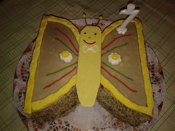 FOTORECEPT: Motýliková torta