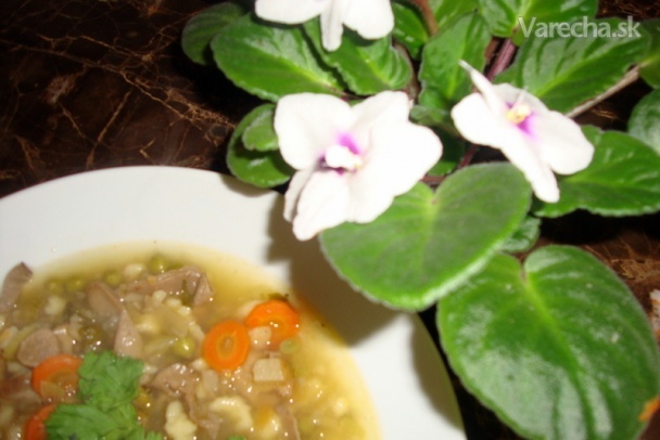 Zeleninová s vývarom z králičích kostí a hlivou (fotorecept) Recept