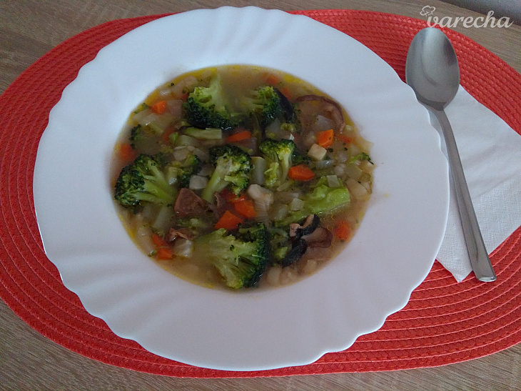Brokolicová polievka so zeleninou, sušenými hríbami a krúpami ...