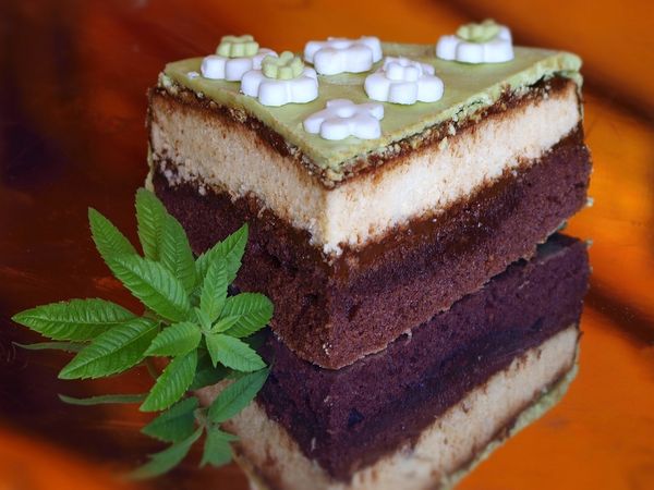 Čokoládovo-pepermintová torta