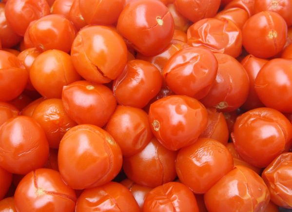 Varené paradajky