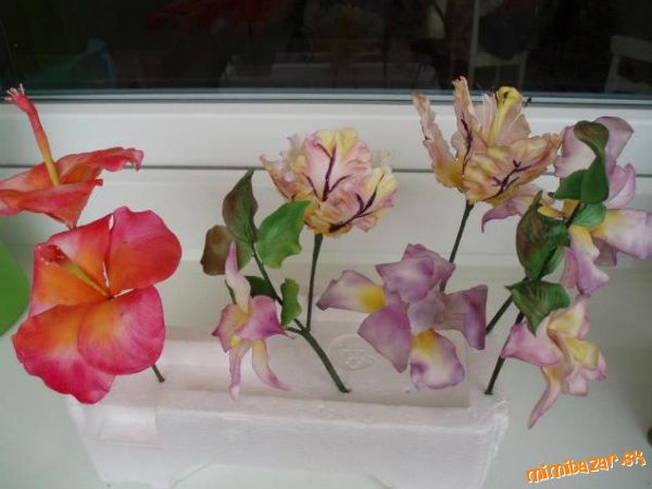 Ibištek strapatý tulipán orchidea a iris