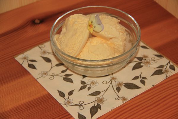 Domáca vanilková zmrzlina