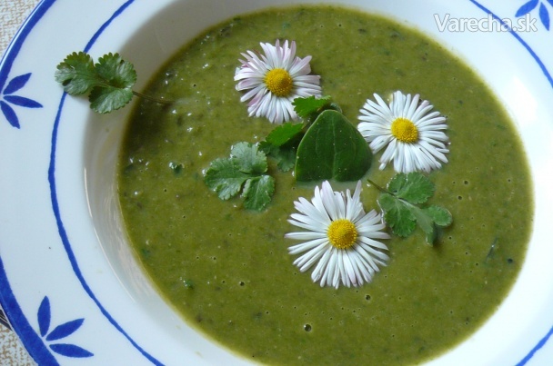 Zelená jarná polievka (fotorecept) recept