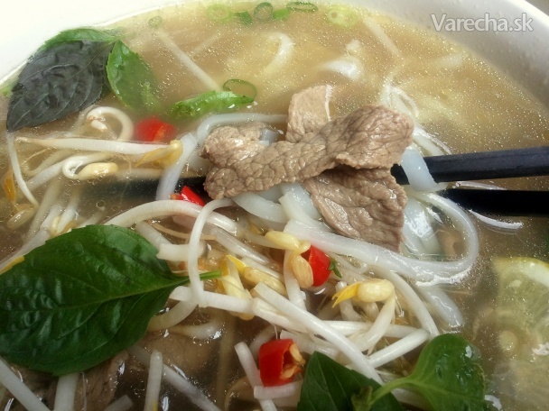 Pho Tai Vietnamsko Francuzka hovädzia polievka recept ...