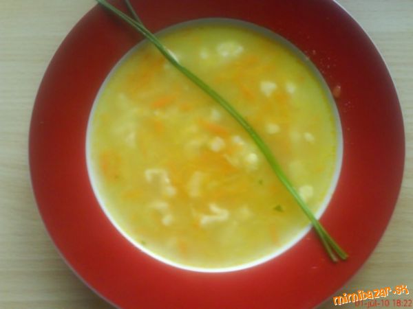 Zeleninová polievka s haluščičkami