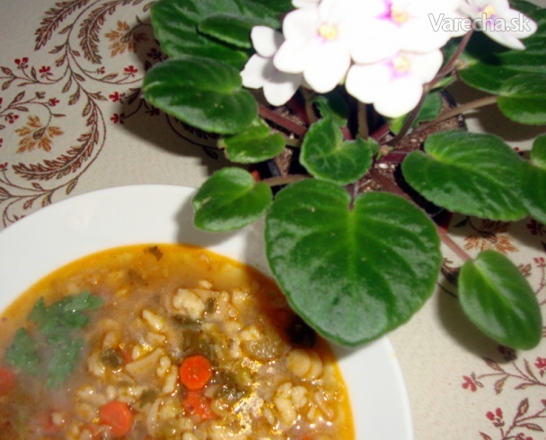 Zeleninová polievka s kosťou zo šunky (fotorecept) 